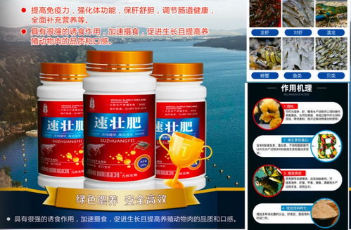 華佗醫藥水產促生長解決方案 助力海參、蝦蟹與魚類高效養殖